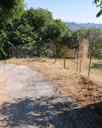 Terreno agricolo Vill. Santo Stefano Medio