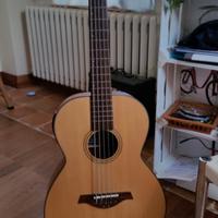 basso acustico 5 corde 