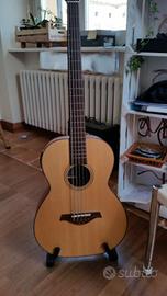 basso acustico 5 corde 