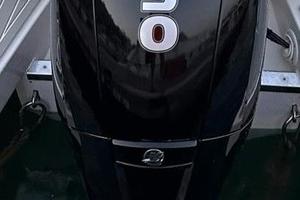 MOTORE MERCURY 150 XL