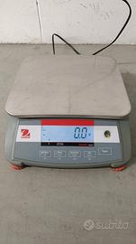 Bilancia professionale 