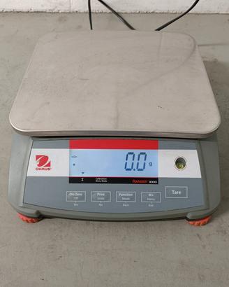 Bilancia professionale 