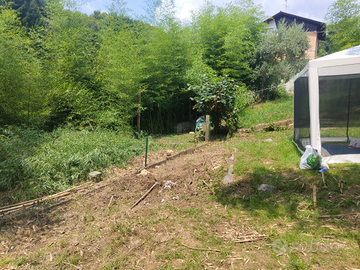 Due lotti agricoli a Zumaglia (Biella) - 1.280 m²