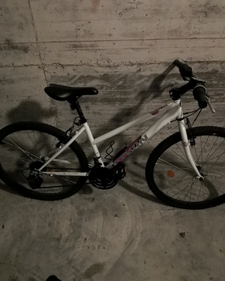 Bicicletta ragazza