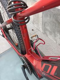 Bici Elettrica