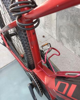 Bici Elettrica