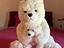 Immagine 1
