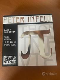Peter Infeld corde contrabbasso