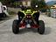 Immagine 4