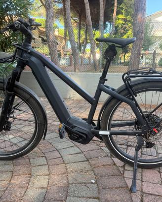 Riese muller charge mixte