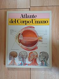 libro atlante del corpo umano 