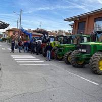 Agricolo