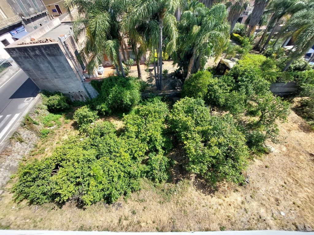 SCILLICHENTI: TERRENO EDIFICABILE ZONA B2 DI 650MQ - Vista 4