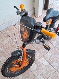 Bicicletta 