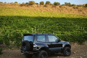 Pajero DiD 