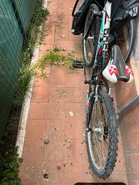 Bici da ragazzo bottecchia mtb