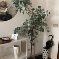 Eucalipto artificiale