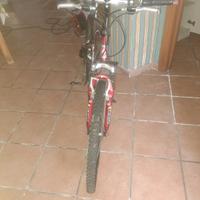 Mountain bike Tornado Matrix