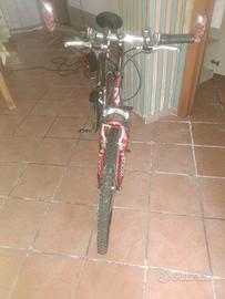 Mountain bike Tornado Matrix