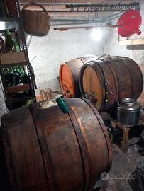 Botti in legno secolari per vino
