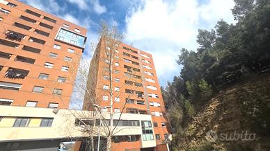 Via Mallet appartamento mq. 70 netti