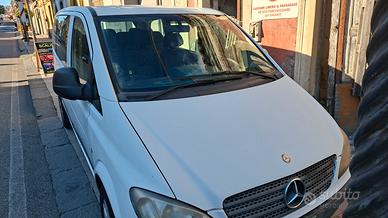 Mercedes Viano 