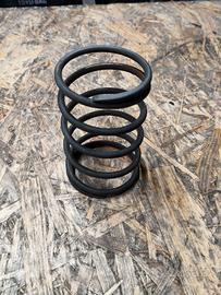 Molla contrasto Piaggio Beverly 500