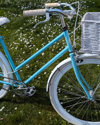 Bicicletta da donna Dafne Super lady con cestino