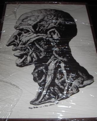Balbi Filippo Testa anatomica riproduzione stampa.
