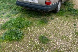 Mercedes w 124 station wagon