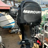 Mercury efi 100