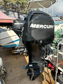 Mercury efi 100