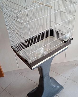 gabbia per canarini