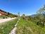 Immagine 19