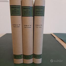 Commentario del Codice Civile delle Successioni