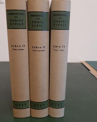 Commentario del Codice Civile delle Successioni