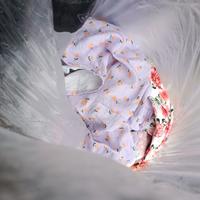 abbigliamento donna
