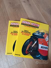 raccoglitori Honda rc211v