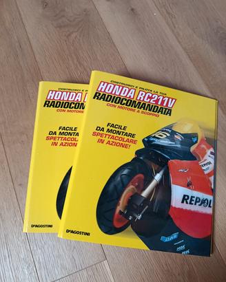 raccoglitori Honda rc211v