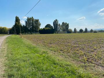 Terreno agricolo a Scandiano