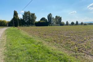 Terreno agricolo a Scandiano
