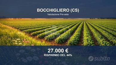 Immobile in asta di 43650 m² a Bocchigliero