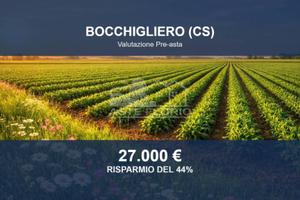 Immobile in asta di 43650 m² a Bocchigliero