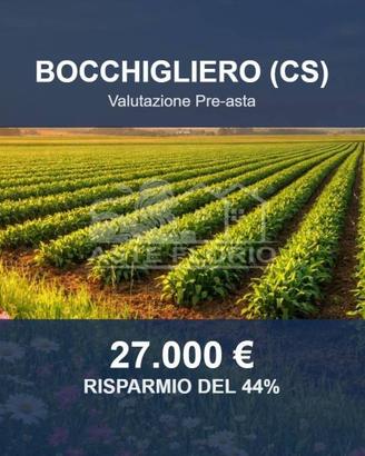 Immobile in asta di 43650 m² a Bocchigliero