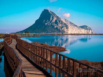 Lungomare Olbia "solo dove rende."