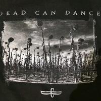 T-shirt Dead can Dance - rarità 