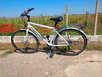 Bici Torpado albatros 28" uomo/donna