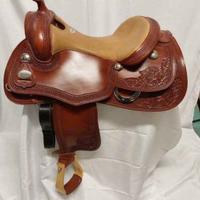 Westwood platinum reining