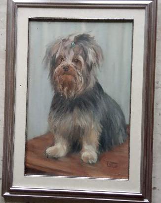  CANE YORKSHIRE , OLIO SU TELA , 76 X 56 CM