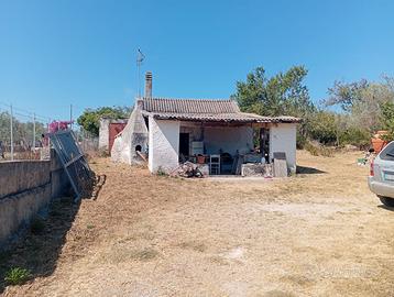 Viziliu/Serra di Lioni, casetta con oliveto